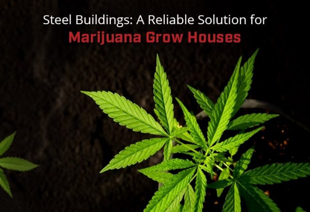 Steel Buildings: A Reliable Solution for Marijuana Grow Houses